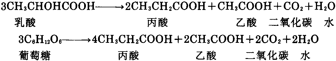 第四節(jié) 其他細(xì)菌的培養(yǎng)和應(yīng)用